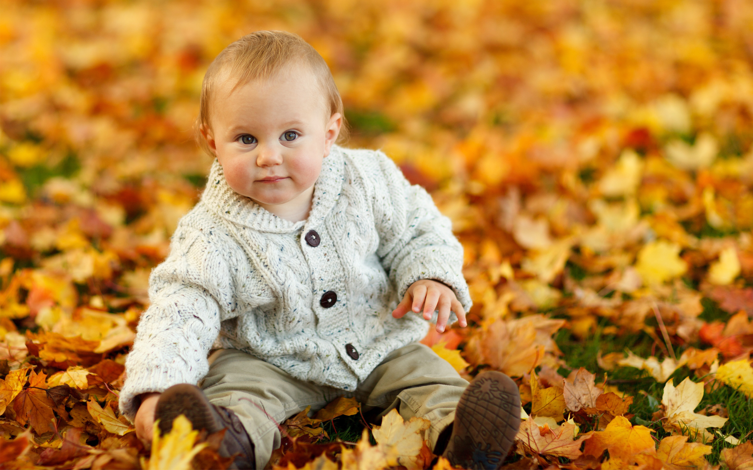 Cute Baby Boy Autumn Leaves106106793